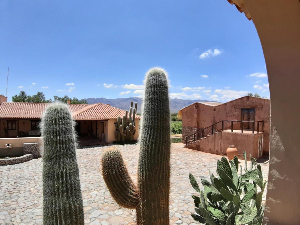 Estancia Colome Molinos Luaran gambar