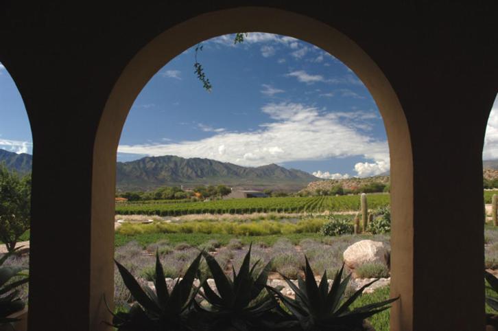 Estancia Colome Molinos Luaran gambar