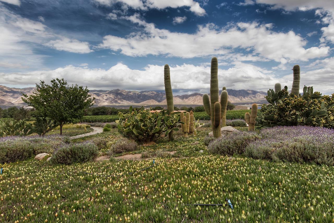 Estancia Colome Molinos Luaran gambar